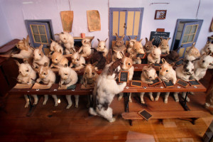Stuffed rabbits