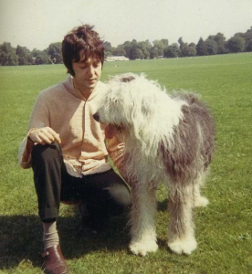 paul_mccartney_dog_martha