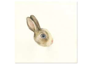 02_rabbit_head